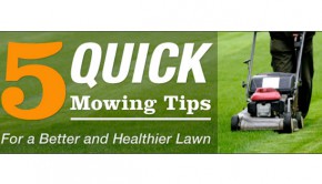 5-quick-mowing-tips