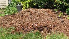 Create Compost Pile