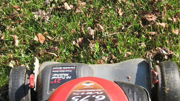 Fall Lawn Care Tips