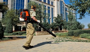 Leaf Blower Tune Up