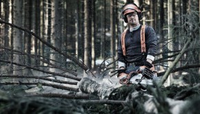 The Proper Stance for Holding a Chainsaw and Safety Rules