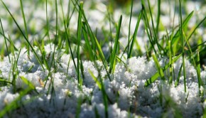 6-tips-to-help-your-lawn-survive-the-winter