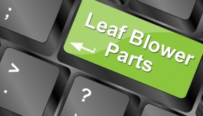 Shop-Leaf-Blower-Parts-Online