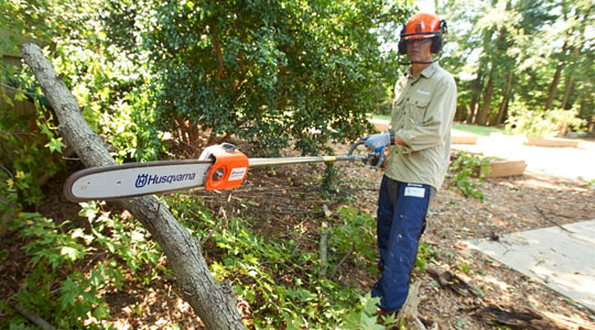 Pole Saw Safety Gear.